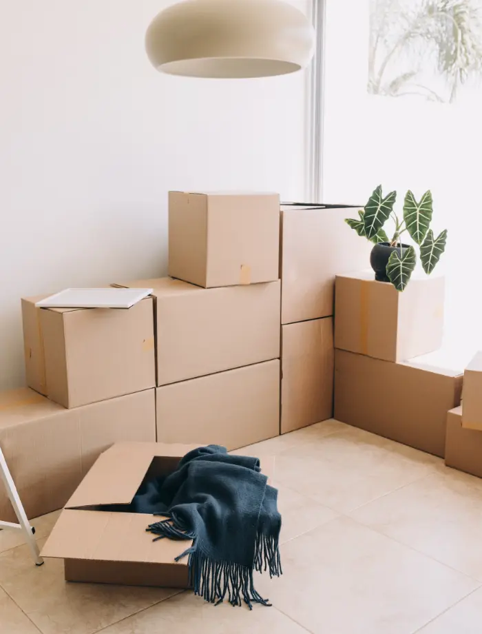 Local house removals team in Sunshine Coast suburb with packed boxes and moving truck